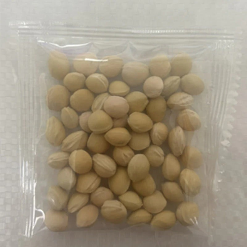 🍒Sweet cherry tree seeds🍒 | 🔥Buy 1 Get 1 Free🔥