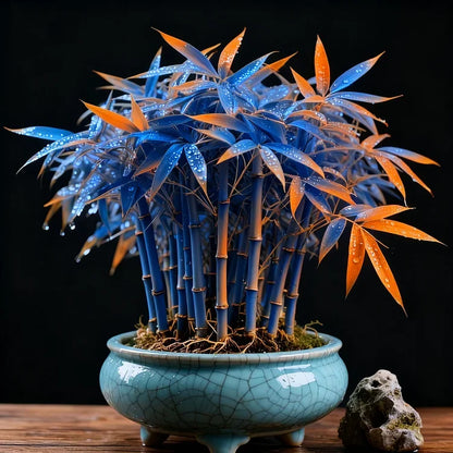 🌿 DreamBamboo — Multi-Color Lucky Bamboo Cypress