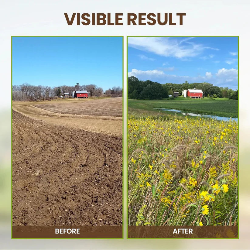 👩🏻‍🌾🌱Rejuvenate plants-Soil Pro Activator🔥