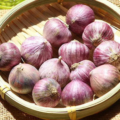 🧄Single Clove Garlic: Bold Flavor, Healthy Choice! | 🔥Buy 1 Get 1 Free🔥