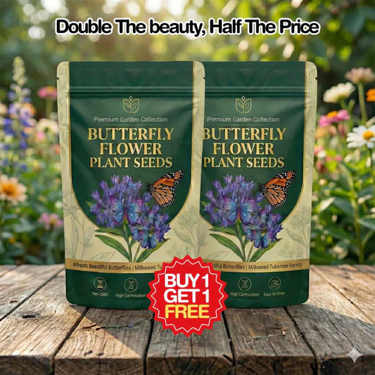 Butterfly Flower Seeds | 🔥 BUY 1 GET 1 FREE 🔥