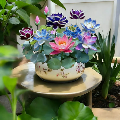 💮Midnight Purple Lotus Seeds | 🔥Buy 1 Get 1 Free🔥