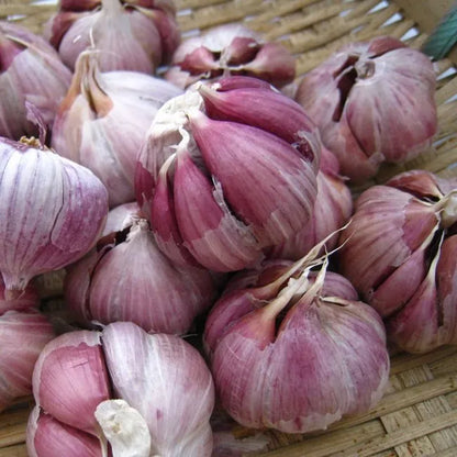 🧄Single Clove Garlic: Bold Flavor, Healthy Choice! | 🔥Buy 1 Get 1 Free🔥