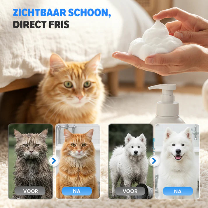 🔥 50% OFF! 🐾 Waterless deodorizing animal shampoo in mousse form - plant-based formula, 400 ml with convenient pump 🌿🐶