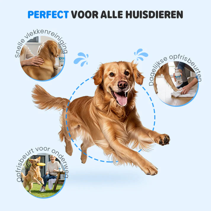 🔥 50% OFF! 🐾 Waterless deodorizing animal shampoo in mousse form - plant-based formula, 400 ml with convenient pump 🌿🐶