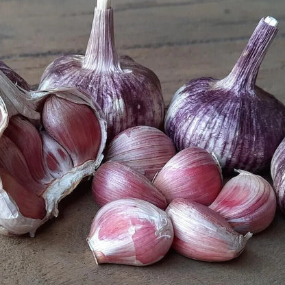🧄Single Clove Garlic: Bold Flavor, Healthy Choice! | 🔥Buy 1 Get 1 Free🔥