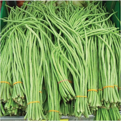 🔥Super-Long Green Bean Seeds - Super Yield | 🔥Buy 1 Get 1 Free🔥