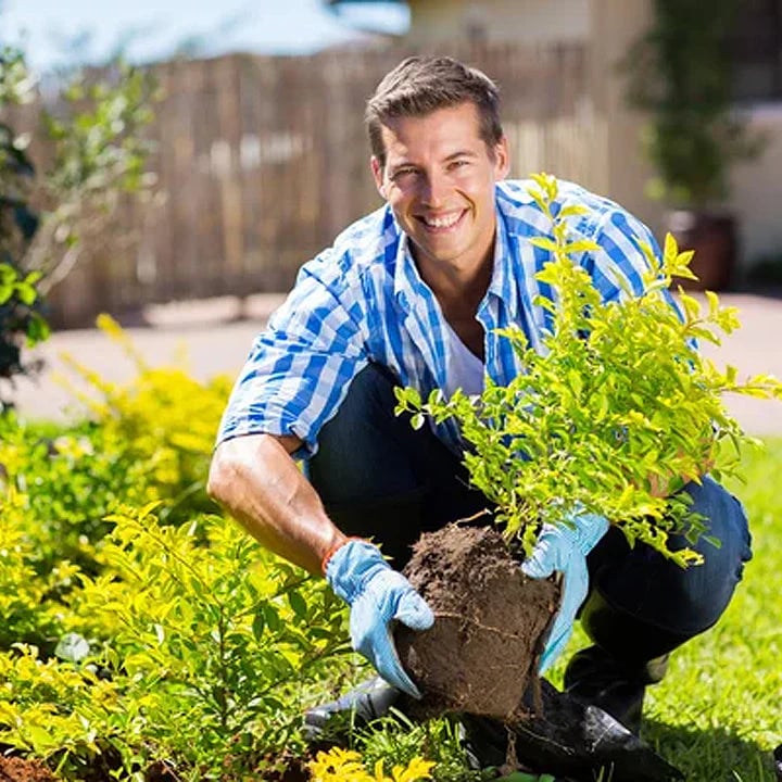 👩🏻‍🌾🌱Rejuvenate plants-Soil Pro Activator🔥