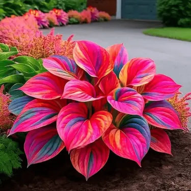 🔥 Premium Rare Hosta Seeds 🌿 Shade Tolerant – Perfect for your garden paradise! 🌱