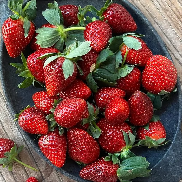 🔥⏰Last Day Promotion🌱BLACK PEARL STRAWBERRY SEEDS | 🔥Buy 1 Get 1 Free🔥