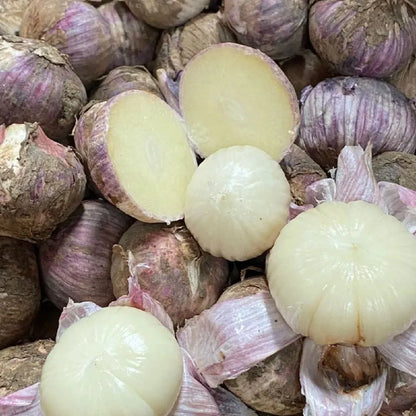 🧄Single Clove Garlic: Bold Flavor, Healthy Choice! | 🔥Buy 1 Get 1 Free🔥