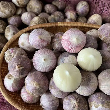 🧄Single Clove Garlic: Bold Flavor, Healthy Choice! | 🔥Buy 1 Get 1 Free🔥
