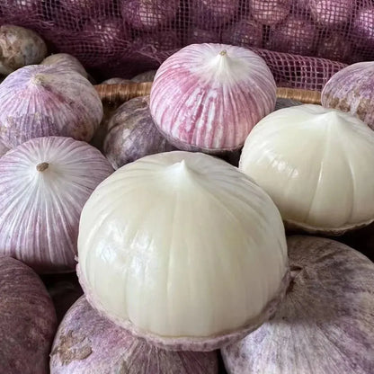 🧄Single Clove Garlic: Bold Flavor, Healthy Choice! | 🔥Buy 1 Get 1 Free🔥
