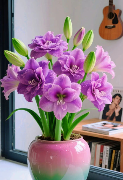 Double-Petaled Perfume Amaryllis Bulbs | 🔥Buy 1 Get 1 Free🔥