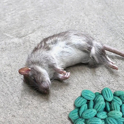 High-potency rodent bait