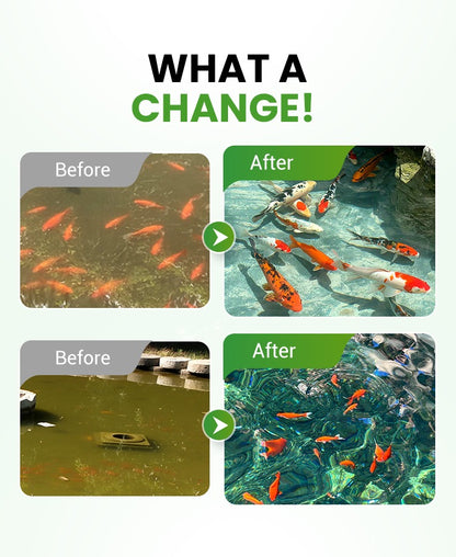 500g Premium Pond Care Powder | Water Clarifier & Algae Control 🐟