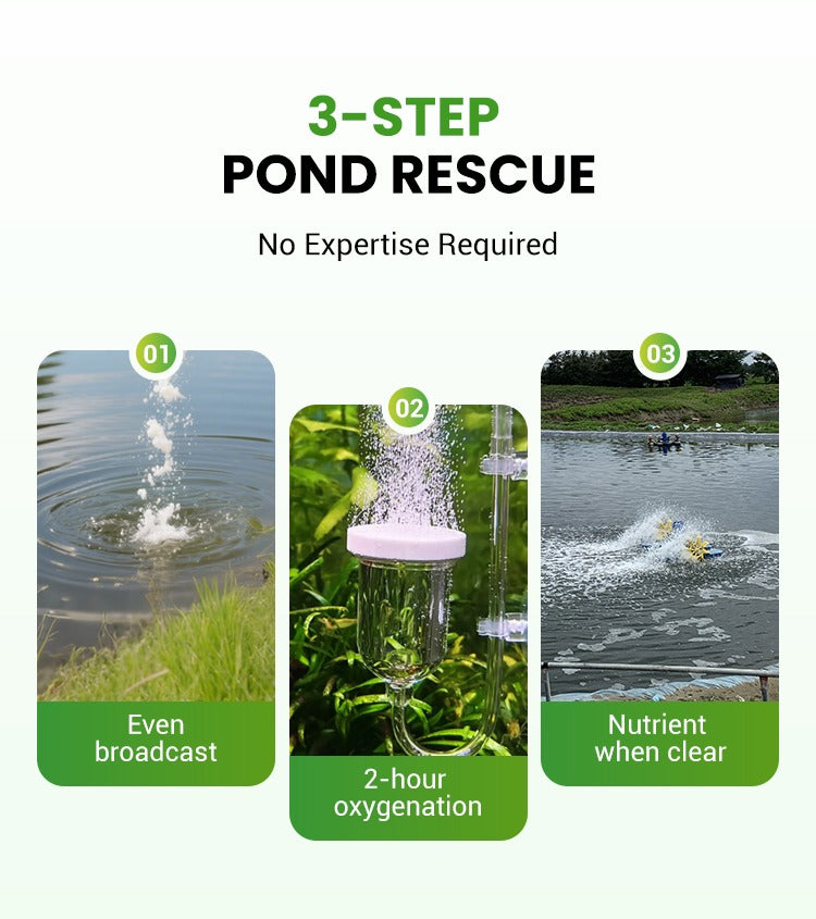 500g Premium Pond Care Powder | Water Clarifier & Algae Control 🐟