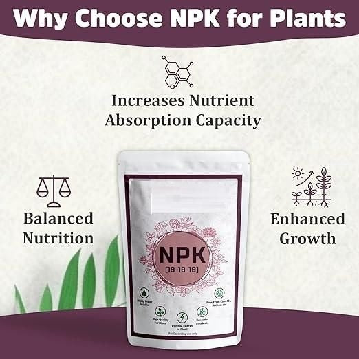 NPK 19 19 19 Fertilizer for Plants | Water Soluble Plant Fertilizer for Growth, Flowering & Fruiting | Garden & Indoor Plant Care 350gm