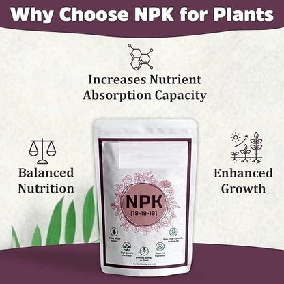NPK 19 19 19 Fertilizer for Plants | Water Soluble Plant Fertilizer for Growth, Flowering & Fruiting | Garden & Indoor Plant Care 350gm