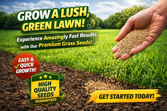 🌱 SPECIAL GRASS SEEDS | 🔥Buy 1 Get 1 Free🔥