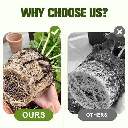 Soluble Disease Control Fertilizer